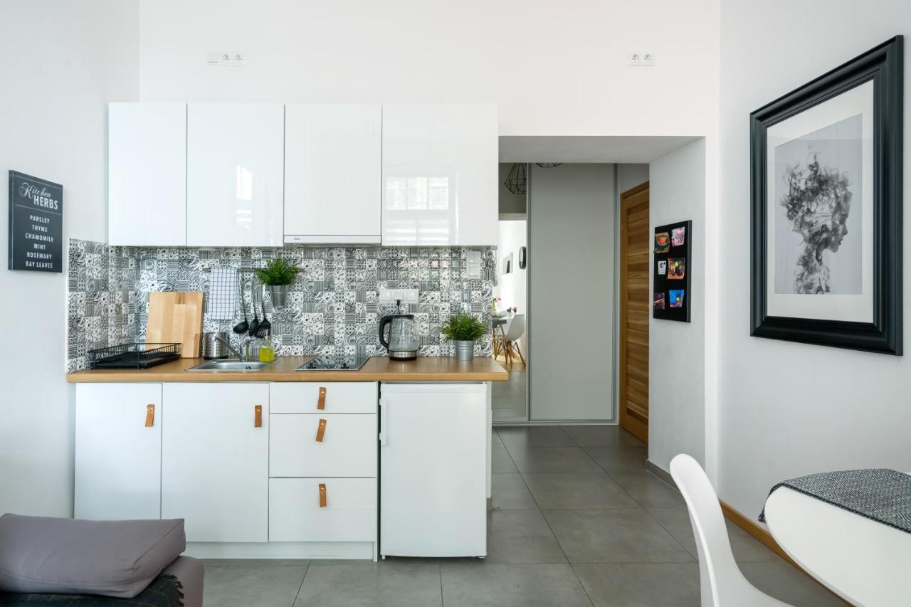 Discover Krakow Apartments - 5 Borowickiej St - Studio Next To Opera And Unity Centre المظهر الخارجي الصورة